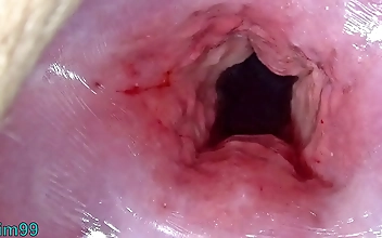 Get Wet and Wild with this Uncensored Japanese Cervix Stretching and Uterus Dilation with Penetration! Only for the Brave!
