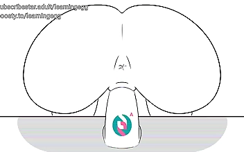 JAV Animator s NSFW Creations Will Make Your Mouth Water!